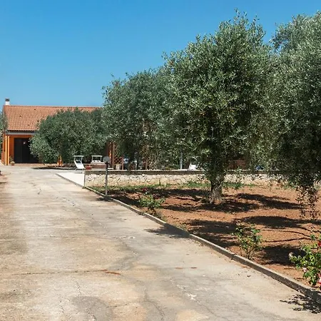 Domo Galante Apartment *