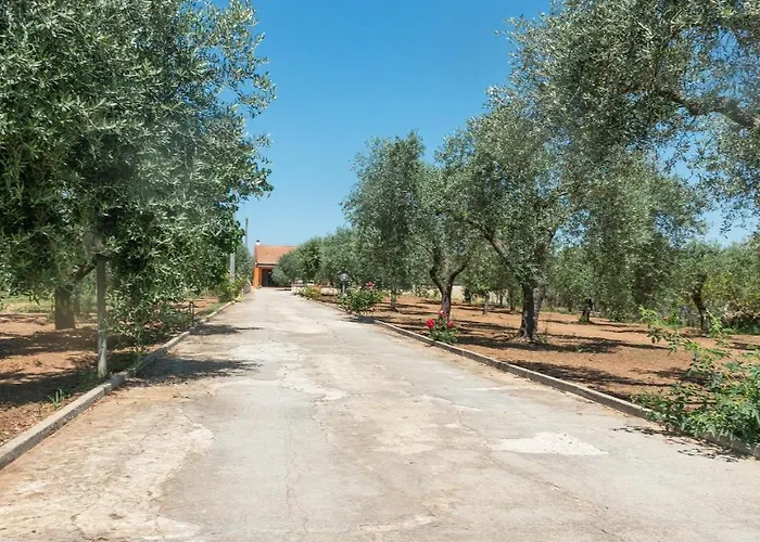 Domo Galante Apartamento